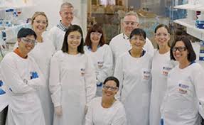 Cancer council queensland (ccq) is dedicated to eliminating cancer and diminishing suffering from cancer through research, treatment, patient care, prevention and early detection. New Drug Combination Could Support Better Cancer Treatments Uq News The University Of Queensland Australia