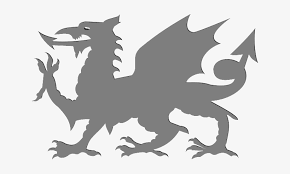 Large collections of hd transparent ireland flag png images for free download. Silhouette Of Welsh Dragon Welsh Dragon Transparent Background Free Transparent Png Download Pngkey