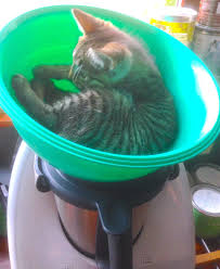 Epingle Sur Thermomix