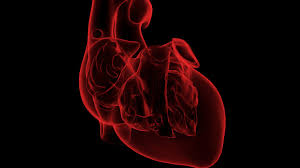 If inflammation explains heart attacks, then a test that helps doctors gauge inflammatory activity inside the blood vessels might be valuable. Setting The Record Straight There Is No Covid Heart Stat