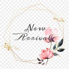 New Arrival Png Floral Frame Free Image By Rawpixel Com Adj