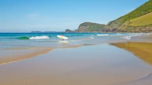 The city of new smyrna beach 210 sams avenue new smyrna beach, fl 32168 phone: Accommodation Pacific Palms Holidays