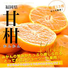 福岡県から産地直送 高糖度みかん「甘柑(かんかん)」品種名：にしおか 約3キロ SからLサイズ(36玉から24玉) 送料無料 みかん 蜜柑 ミカン :  1201703058 : 産直だより - 通販 - Yahoo!ショッピング