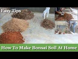 We did not find results for: How To Make Bonsai Soil At Your Home How To Make Bonsai Soil For Beginners Bonsai Care Green Plants Youtube