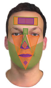 Smartphone-Based Blood Pressure Measurement Using Transdermal Optical  Imaging Technology