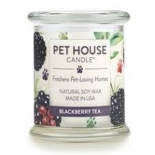 It gets rid of bacteria, viruses, mold, smoke, pollen, pet dander and carbon monoxide. 25 Pet Odor Exterminator Candles Ideas Pet Odors Candles Pet Odor Candles