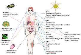 The best way to help your friend who has cancer is to show them the optimist side of life rather than focusing on his disease. Ijms Free Full Text Microbes And Cancer Friends Or Faux Html