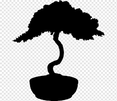 It is a very clean transparent background image and its resolution is 800x800 , please mark the image source when quoting it. Tree Bonsai Silhouette Graphy Tree Leaf Branch Silhouette Png Pngwing