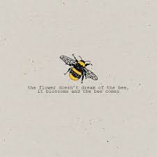 Final thoughts on bee quotes and bee sayings. Bee Beehive Things We Love Sweet Bee Quotes Bee Quotes Nature Quotes Bee
