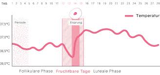 Viele der symptome, die sich vor oder während des eisprungs äußern, hängen mit dem steigenden östrogenspiegel zusammen. Femsense Der Sekundenschnelle Ovulationstest