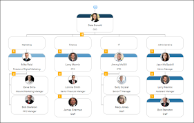 How To Create An Org Chart Organimi