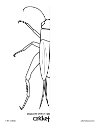 10 Free Coloring Pages Bug Symmetry Art For Kids Hub Symmetry Art Art For Kids Hub Coloring Pages