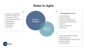 Mentoring roles and responsibilities 4 2.0 experienced supervisor serving as a mentor roles the roles assumed by an experienced supervisor depend on the needs of the new supervisor and on the relationship established between the two. Product Owner Roles And Responsibilities 280 Group