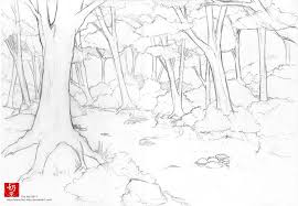 Forest Line Art By Nai Xain On Deviantart Forest Drawing Nature Drawing Forest Sketch