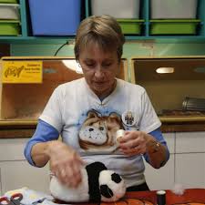 Stuffed animal checkups at Toledo Zoo