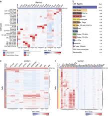 Image result for bioinformatics heatmap