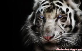 Maybe you would like to learn more about one of these? 3d Art White Tiger Animals Save The Tiger