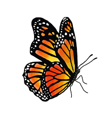 Vinyl Pretty Butterfly Sticker Etsy In 2021 Monarch Butterflies Art Butterfly Art Painting Butterfly Painting