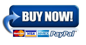 Image result for paypal buy now buttons with credit card