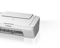 Impresora Canon Pixma MG2550S