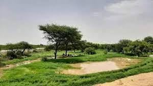 موريتانيا: سقوط أمطار على مناطق مختلفة من البلاد – الزمان