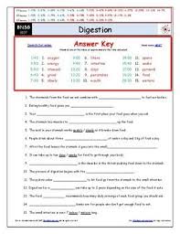 Video Guide Quiz For Bill Nye Digestion Printing Google Doc Pdf Science Guy Bill Nye Magic School Bus