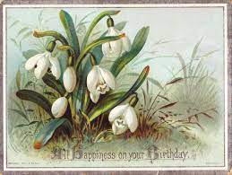 Pin By Carine De Clercq On Sneeuwklokjes In 2021 Flower Artwork Botanical Art Botanical Decor