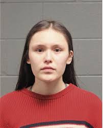 ᐅ Illinois Criminal Records 2009-2025