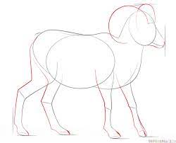 Learning how to draw animals — any animal big or small — can be done the same way you draw this horse. How To Draw A Bighorn Sheep Step By Step Drawing Tutorials For Kids And Beginners Sheep Drawing Animal Drawings Goat Art