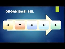 Bab 2 sel sebagai unit asas hidupan by safwan bab 1 pengenalan kepada sains by safwan yusuf 58106 views. Nota Sains Tingkatan 1 Bab 2 Part 1 Of 2 Youtube