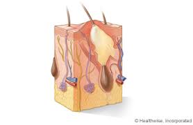 Skin Abscess: Care Instructions