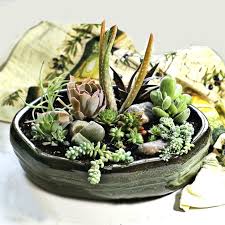 A succulent dish garden won't take much to create or maintain, and is a perfect project for kids.these fun plants are trendy right now because they're completely versatile. Diy Succulent Arrangement Dish Garden Centerpiece Planter