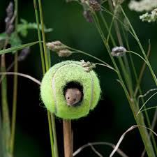 MY GF - Adventurous Riley Mae Has Sloppy Sex With Ken