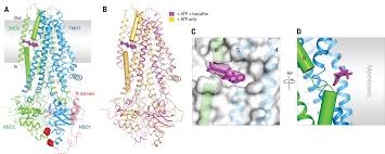 Have questions about xfinity wifi home hotspots? Structural Identification Of A Hotspot On Cftr For Potentiation Science