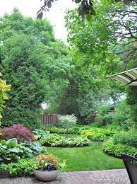 Three Dogs In A Garden Page 12 Chan 17877324 Rssing Com Backyard Garden Layout Garden Layout Shade Garden