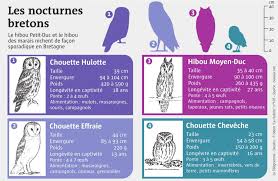We did not find results for: Brest Rapaces En Bretagne L 039 Etat Des Lieux Le Telegramme