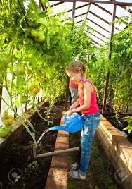 Maybe you would like to learn more about one of these? Child Watering The Garden Girl Helps To Do The Work In The Greenhouse Stock Photo Picture And Royalty Free Image Image 42002869