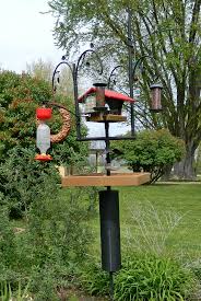 Bird Feeder Pole System My Nearly Completed Advanced Pole System All But Some Of The Feeders Are From Wild Bi Bird Feeder Poles Backyard Birds Sanctuary Squirrel Proof Bird Feeders
