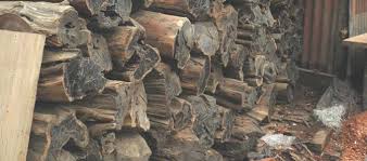 Jika anda ingin menggunakan lantai kayu eboni bekas sangat penting untuk menghilangkan jejak lapisan cat yang lama khususnya cat yang berbahan minyak. Kayu Eboni Si Kayu Hitam Langka Asal Sulawesi Matoa Indonesiahttps Www Matoa Indonesia Com