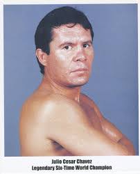 Las mejores ofertas en Julio Cesar Chavez fotos del ventilador de boxeo