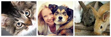 Check spelling or type a new query. Allpets Veterinary Clinic