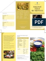Jangan lupa meminum vitamin atau suplemen penambah asi jika diperlukan lain agar kondisi tetap prima saat berpuasa. Brosur Ibu Menyusui Pdf