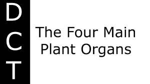 We did not find results for: Ks3 Biology Lessons Blendspace