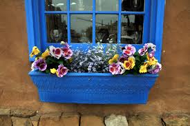 This group of photos are some that i shot of our window box pansies covered in drops. Flowering Window Box Ideas That Work For Sunny Gardens