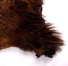 Maybe you would like to learn more about one of these? Antique Unique Buffalo Hide Carriage Lap Blanket