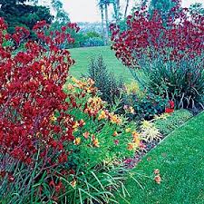 Gorgeous Garden Border Design Ideas For Any Yard In The West Sunset Gorgeous Gardens Garden Borders Beautiful Gardens