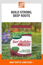 Grow A Better Lawn With Scotts From The Home Depot In 2020 Scott Lawn Care Fall Lawn Fall Lawn Care