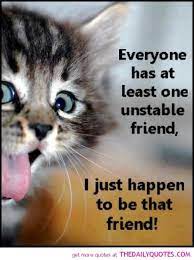 Everyone Has At Least One Unstable Friend Julia Thats Me Cat Quotes Funny Cats Cat Quotes