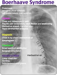 Pin On Favorite Places And Spaces