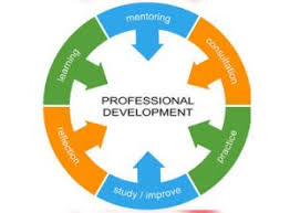 Challenges And Solutions For Grooming Teachers Skills Analytics For Schools Mynalanda